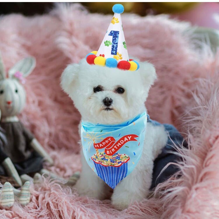 Dog or Cat Birthday Party Pack