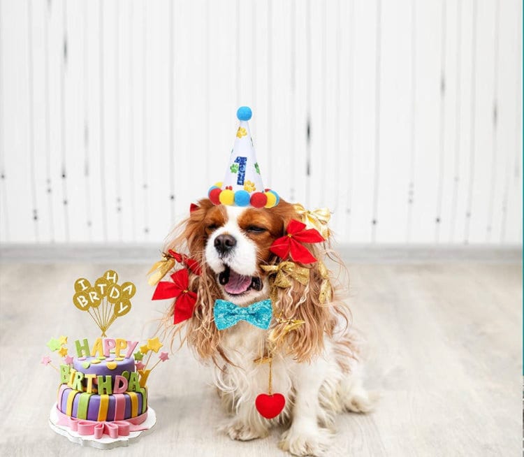 Dog or Cat Birthday Party Pack