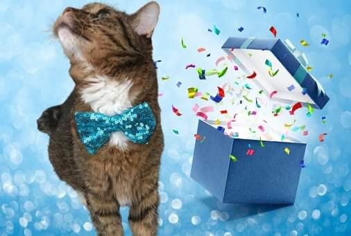 Dog or Cat Birthday Party Pack