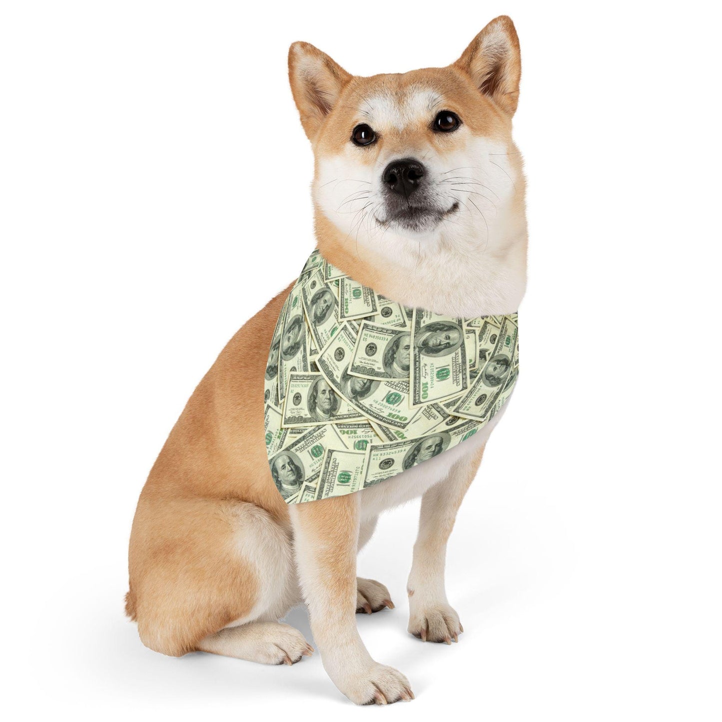 Show Me The Money! One Hundred Dollar Bill Pet Bandana Collar - USA-Printed Unique Money-Themed Cat or Dog Neckwear Accessory