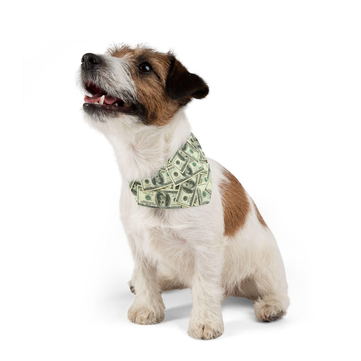 Show Me The Money! One Hundred Dollar Bill Pet Bandana Collar - USA-Printed Unique Money-Themed Cat or Dog Neckwear Accessory