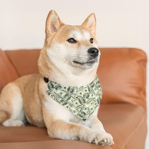 Show Me The Money! One Hundred Dollar Bill Pet Bandana Collar - USA-Printed Unique Money-Themed Cat or Dog Neckwear Accessory