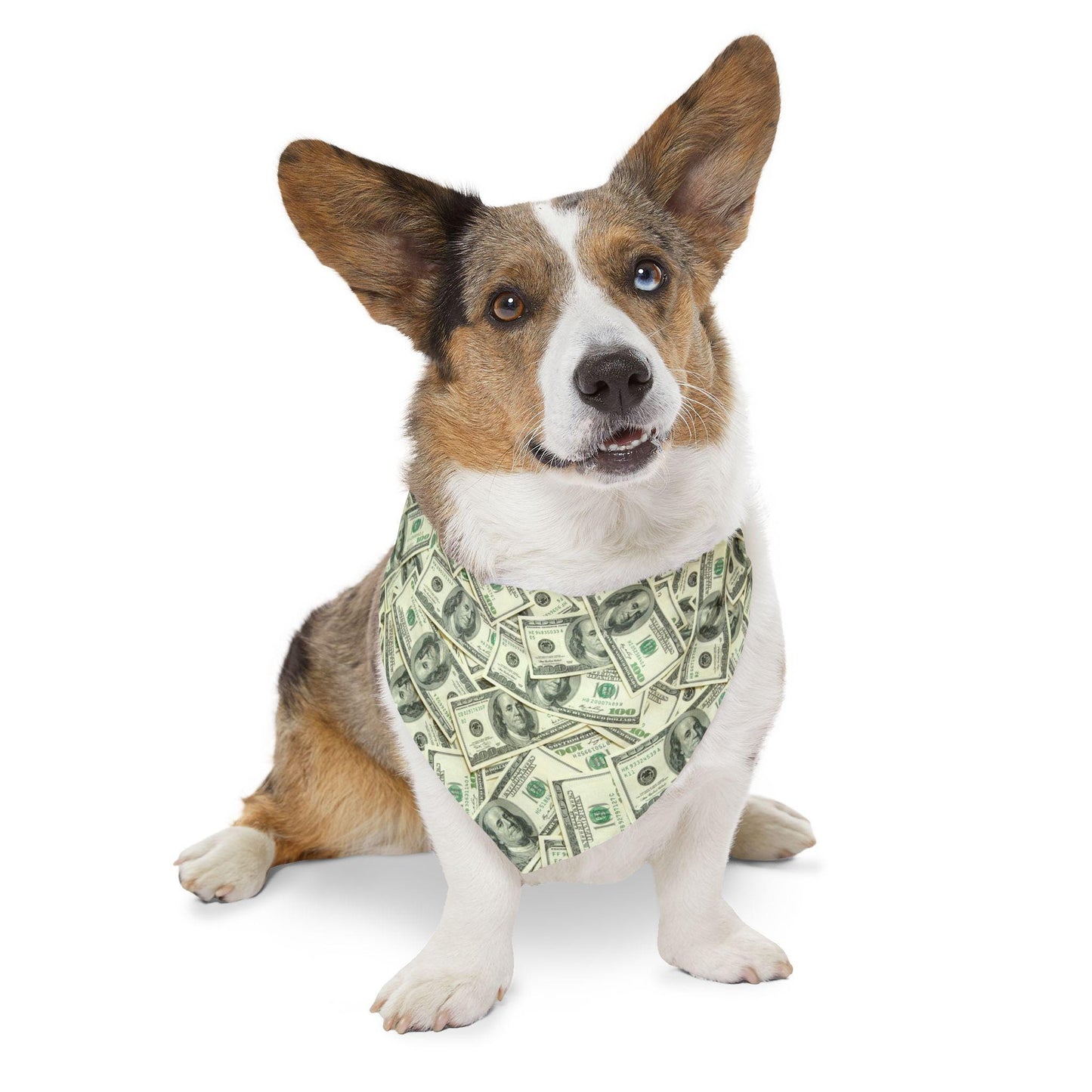 Show Me The Money! One Hundred Dollar Bill Pet Bandana Collar - USA-Printed Unique Money-Themed Cat or Dog Neckwear Accessory